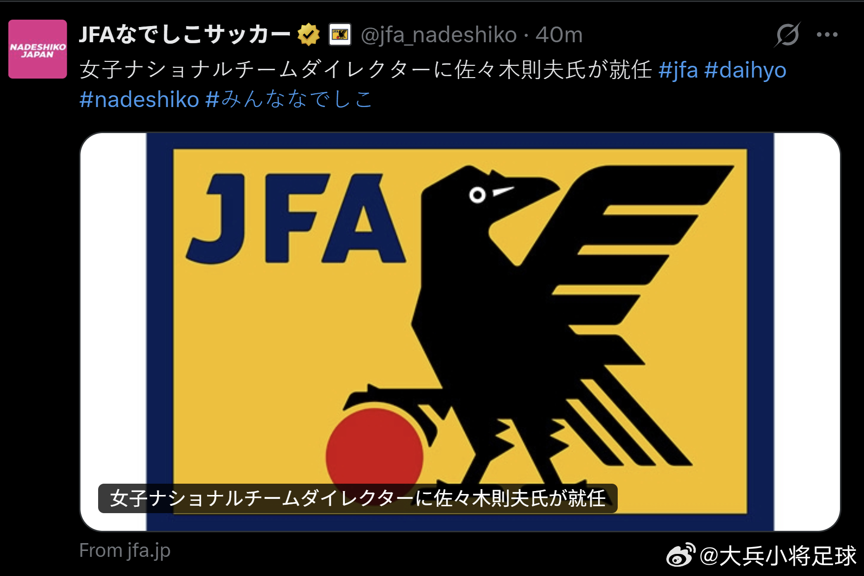NadeshikoJapan 【佐々木則夫出任女子国家队总监】日本足球协会（JF