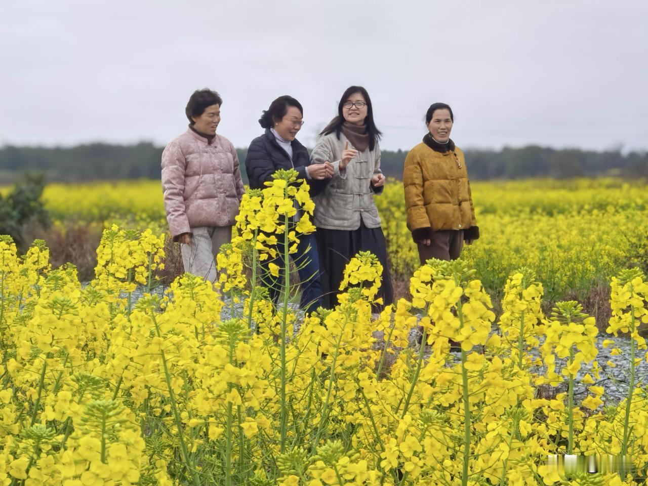 这世间最藏不住的，
是身高，是气质，是风骨，
是由内而外的舒展。

四人站在田埂