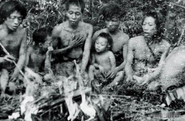 1956年，解放军在云南的深山老林中，发现了一群原始人。经过了解，他们发现这里人