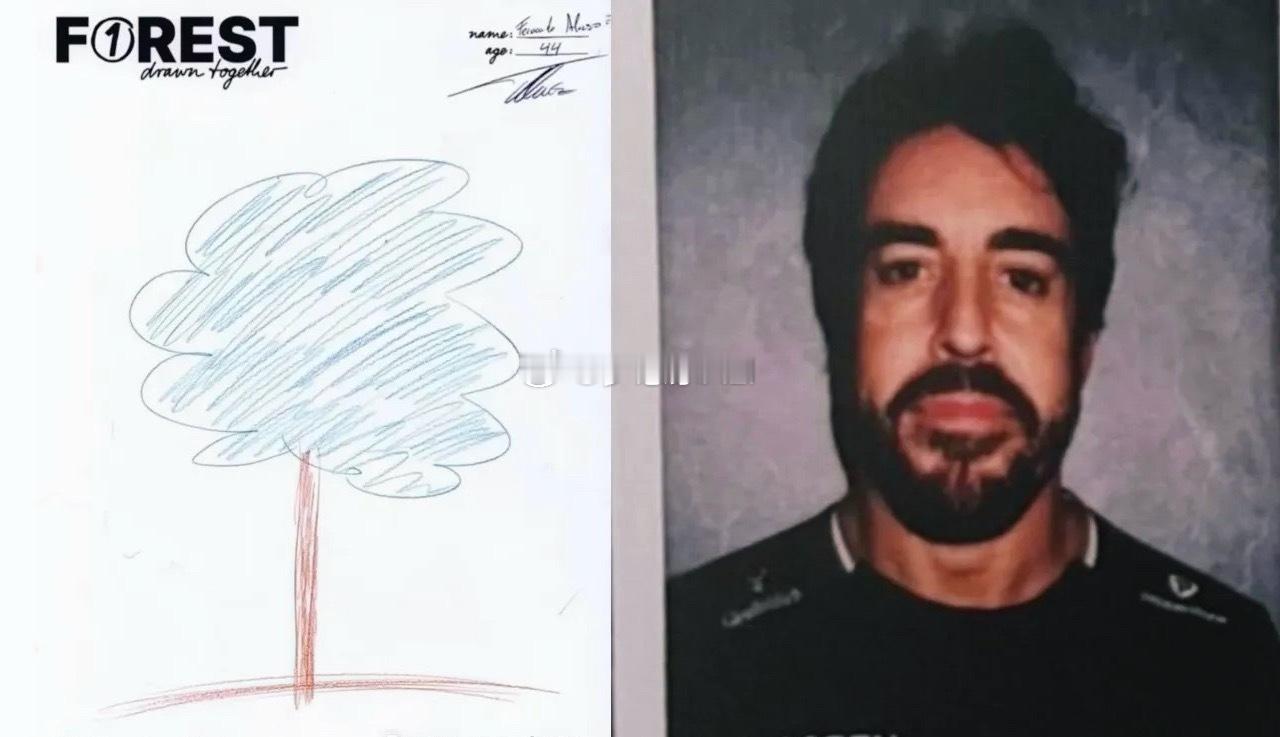 维特尔办的环保主义的活动，各位F1车手创作的树🌳你喜欢哪一幅❓  我大爱最后一