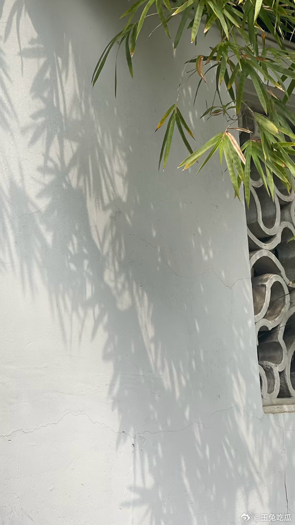 我的家乡，我出生的美丽的地方，在我眼前始终是那样的美，那样的明亮，和我离开它时毫