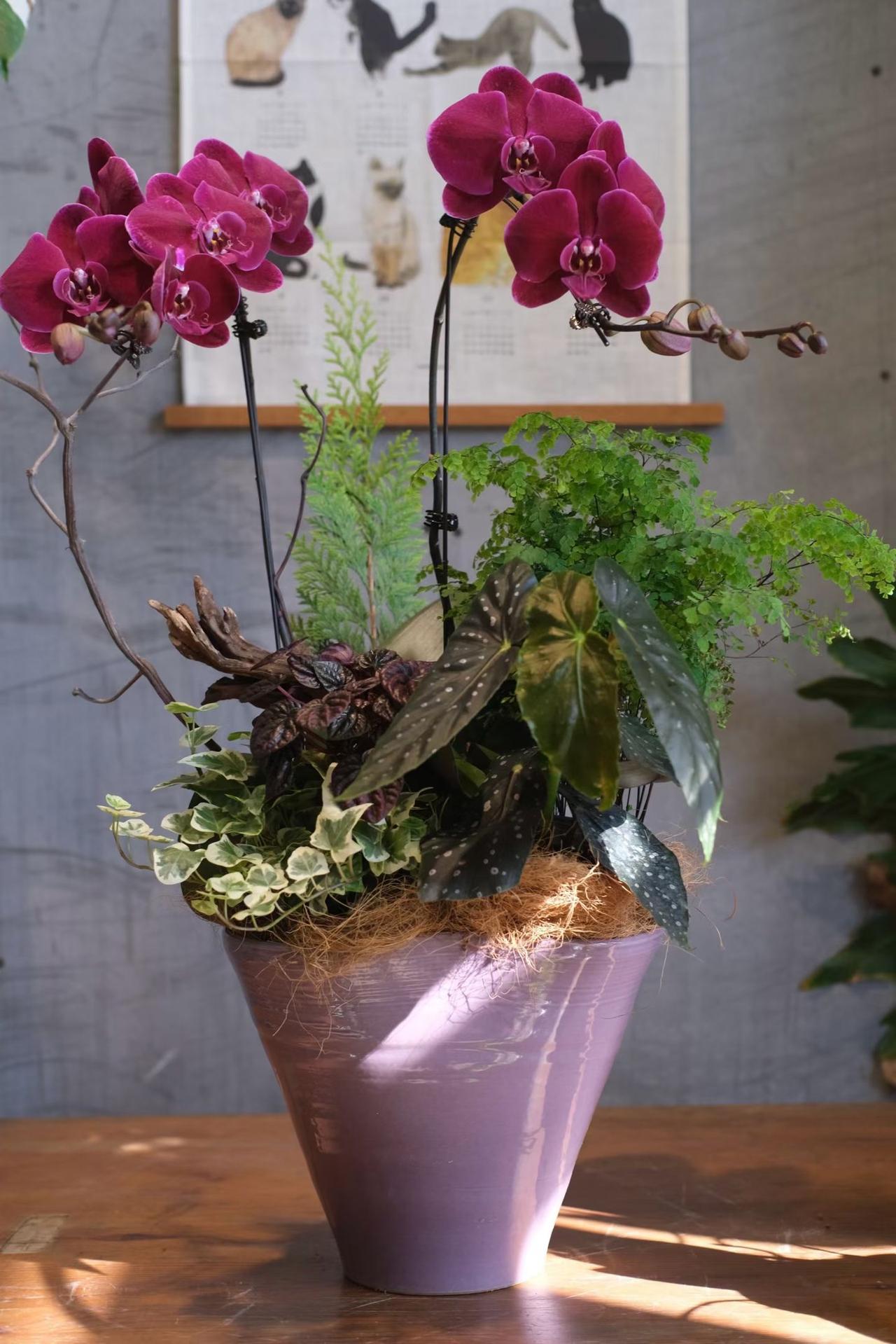 富贵平安[大笑]