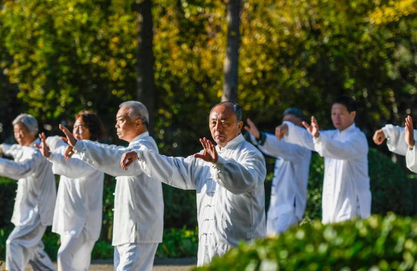 要在法理中习拳
法理阴阳，为习拳炼气中之当然，但仍要明其所以然，则求形、气、神鼎