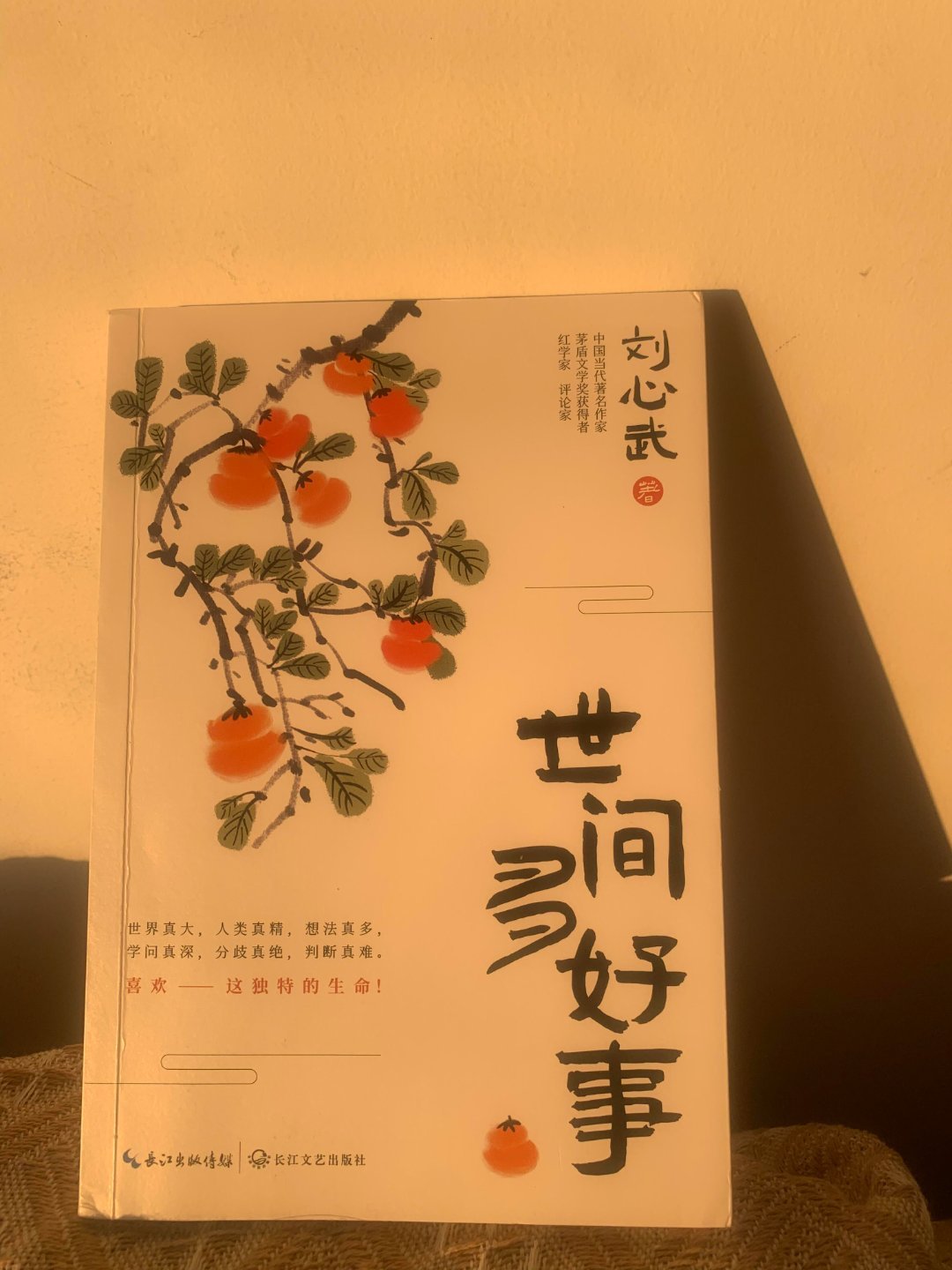 好书推荐   |  读完《世间多好事》，仿若有一束暖光轻柔地照进心底，驱散阴霾，