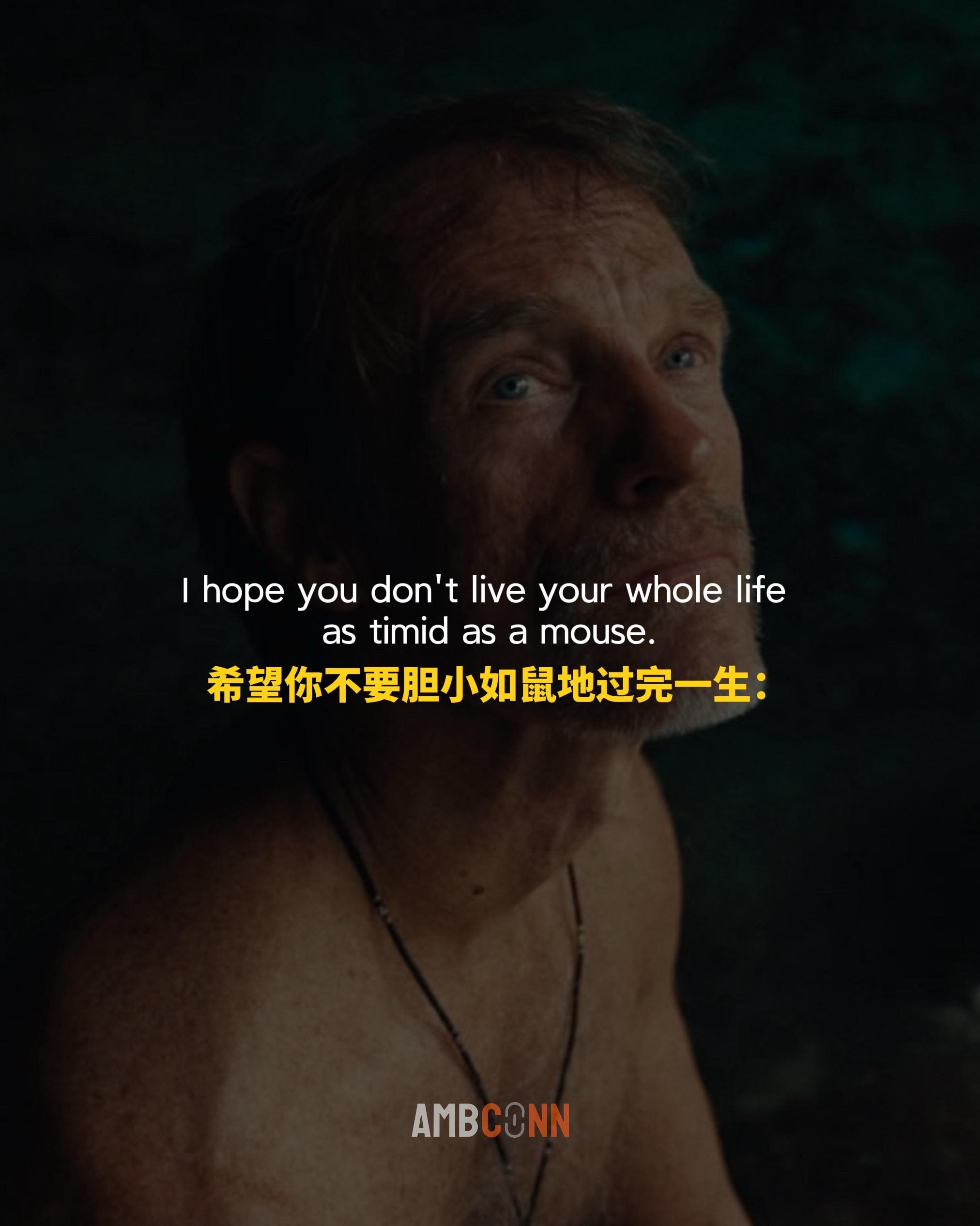 希望你不要胆小如鼠地过一生