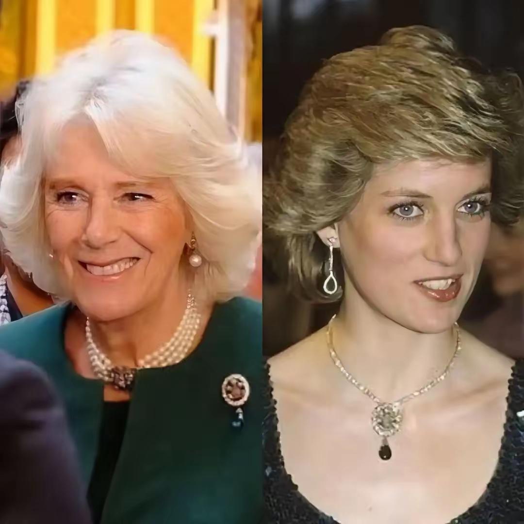 世人总叹戴安娜惊艳时光，却输给平凡的卡米拉。其实胜负无关美貌，只在灵魂的适配。戴