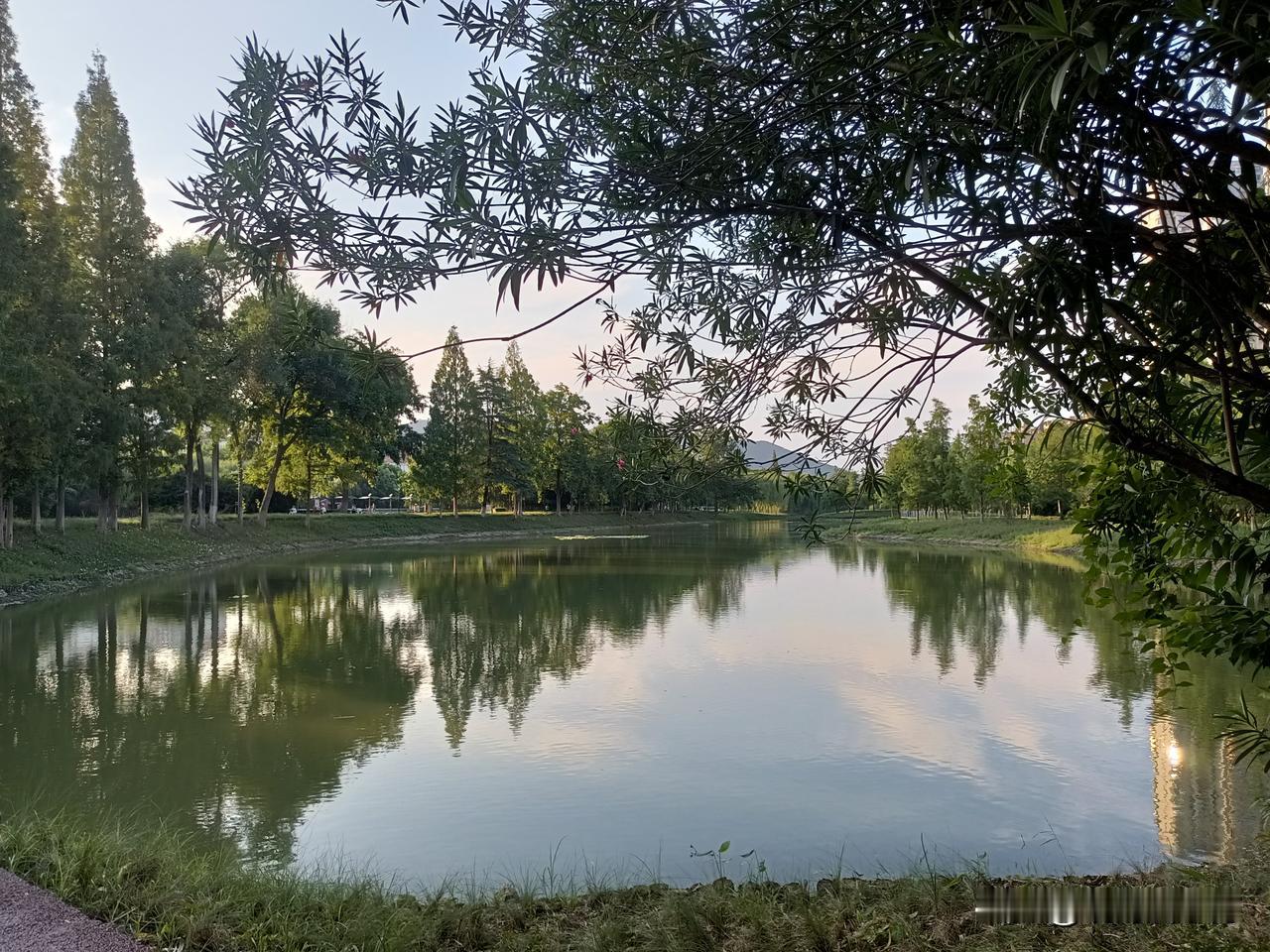 我们总在钢筋水泥里赶路，被工作群的消息和未读的信息裹挟。最近网上很火的“公园20