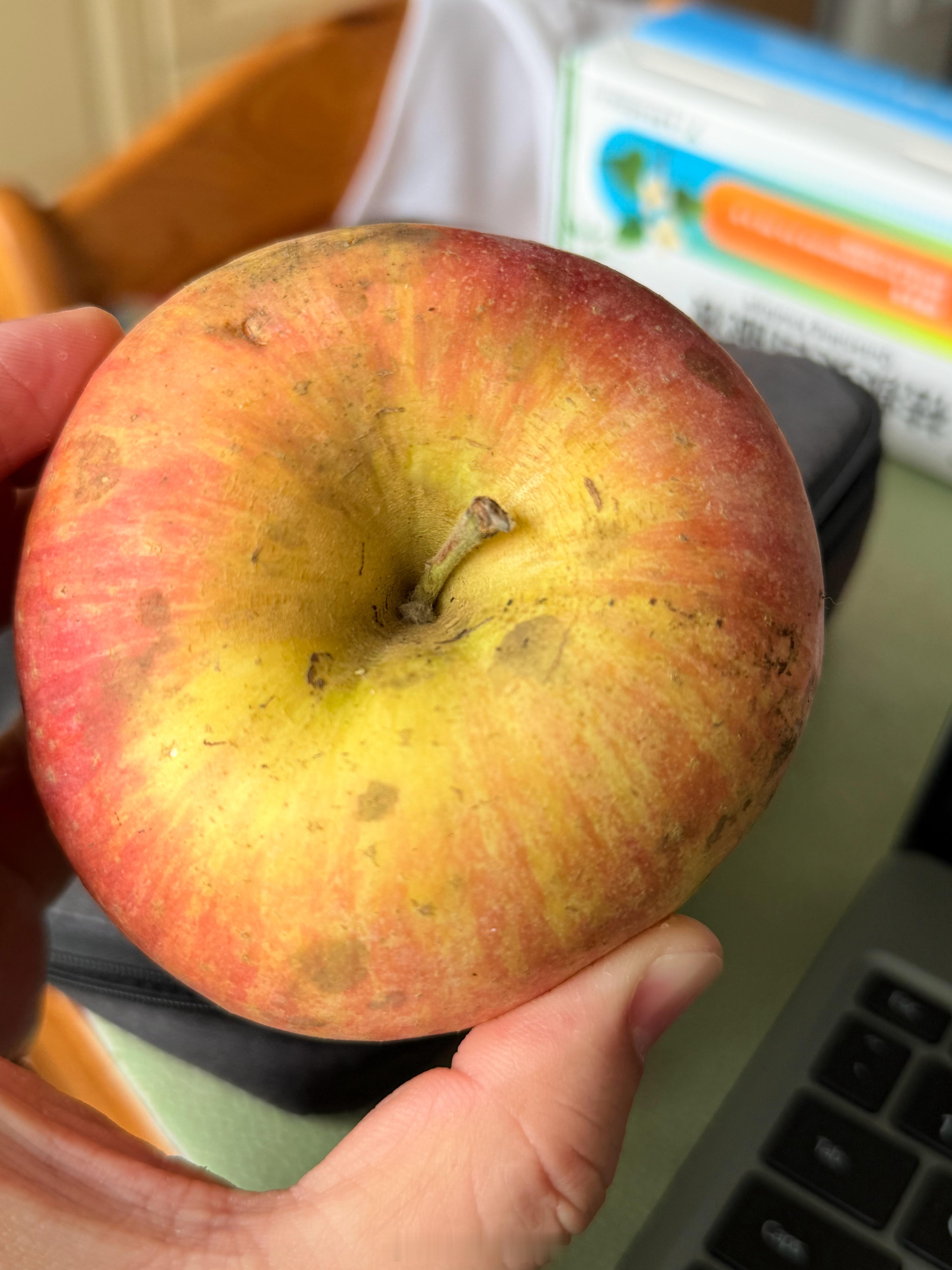 WC，这个苹果甜哭了2025年到现在吃的最好的老百姓自己家树上种的坐标怀柔～普通