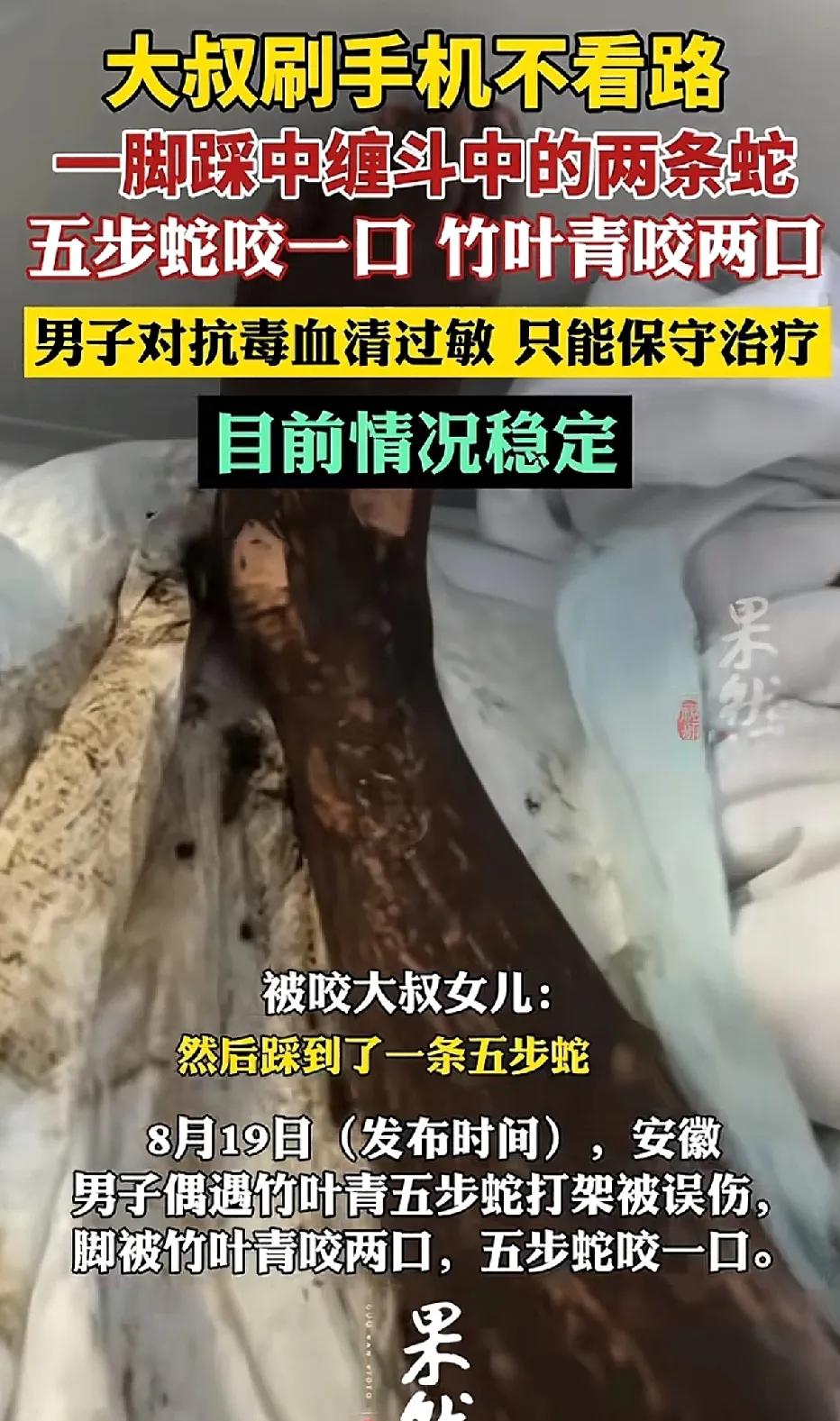 安徽乡村的傍晚，男子一边散步，一边看手机，不小心踩到了正在路边缠斗的两条蛇。五步