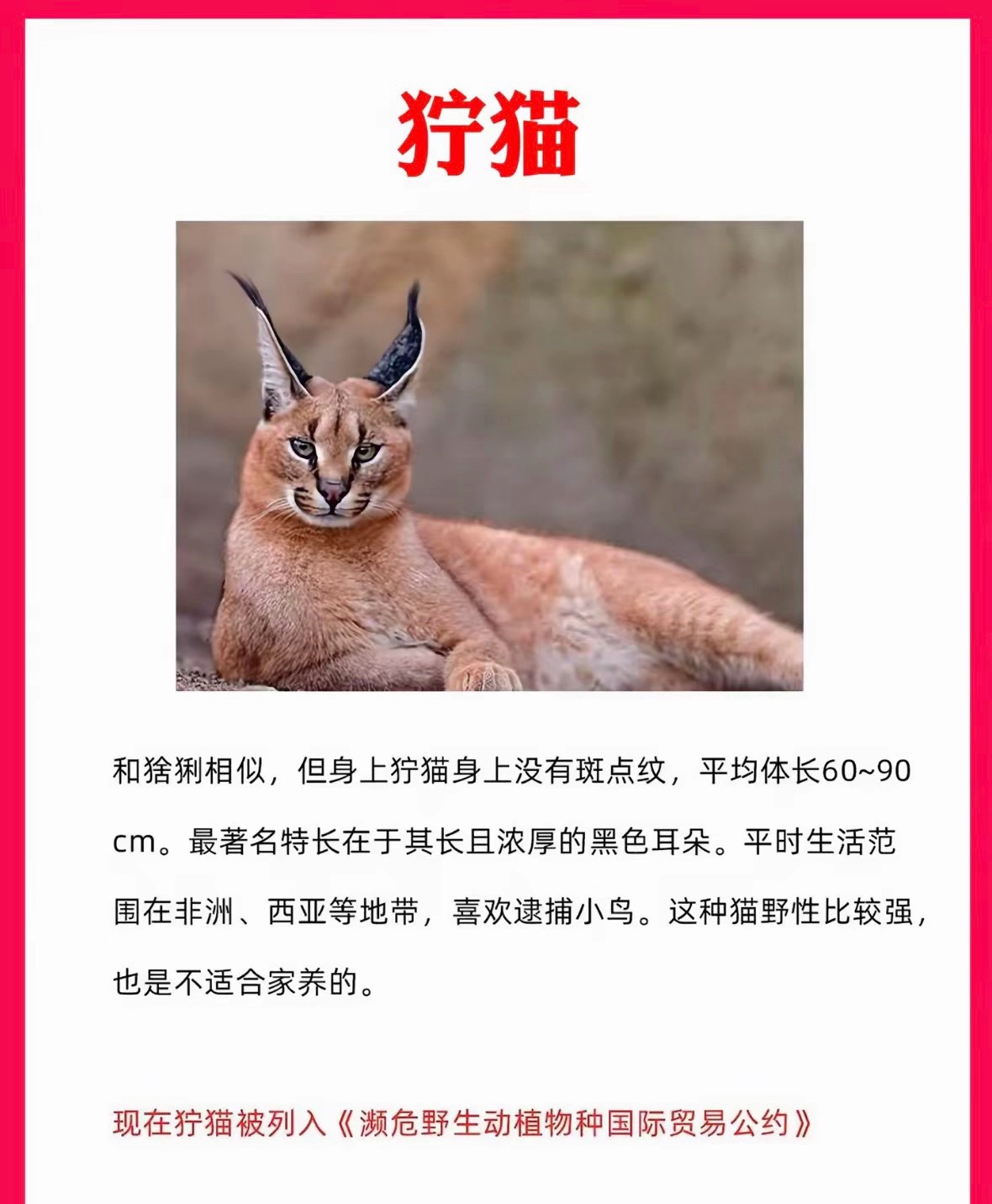 救命 ​​​