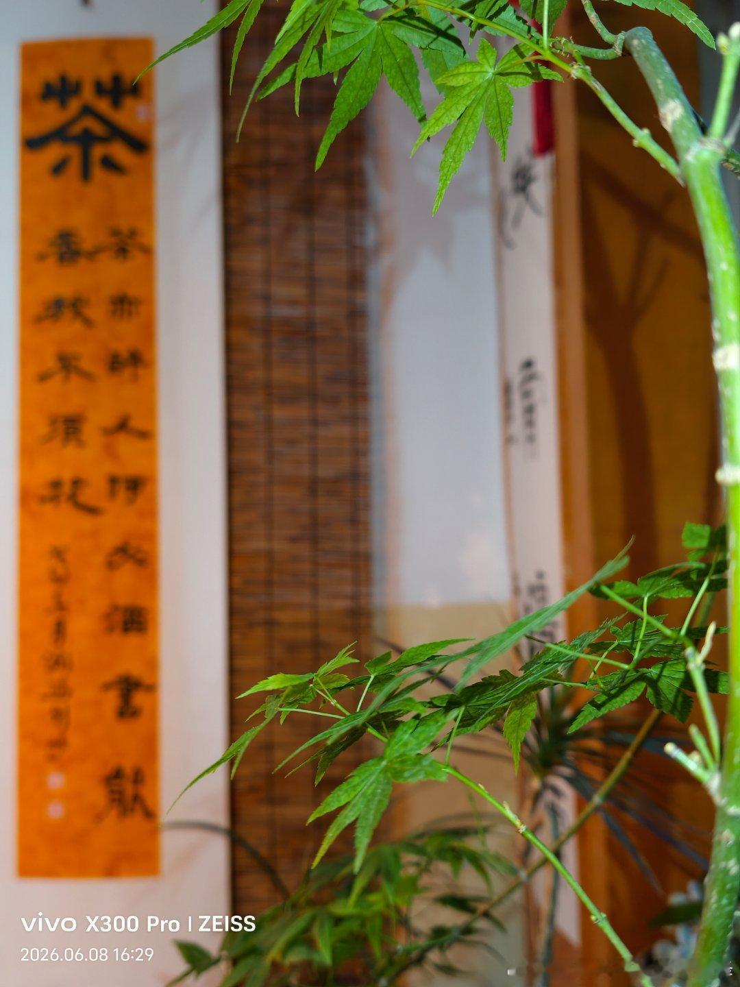 原来茶里，藏着生活的答案。我们不妨在平凡的日子里，发现那些被忽略的美…… 