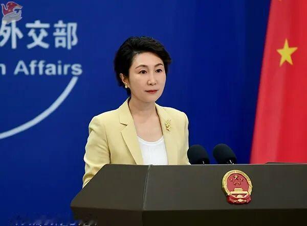 中国外交部发言人毛宁怒批菲律宾防长毫无感恩之心，说实话中国也真的没必要无偿援助菲
