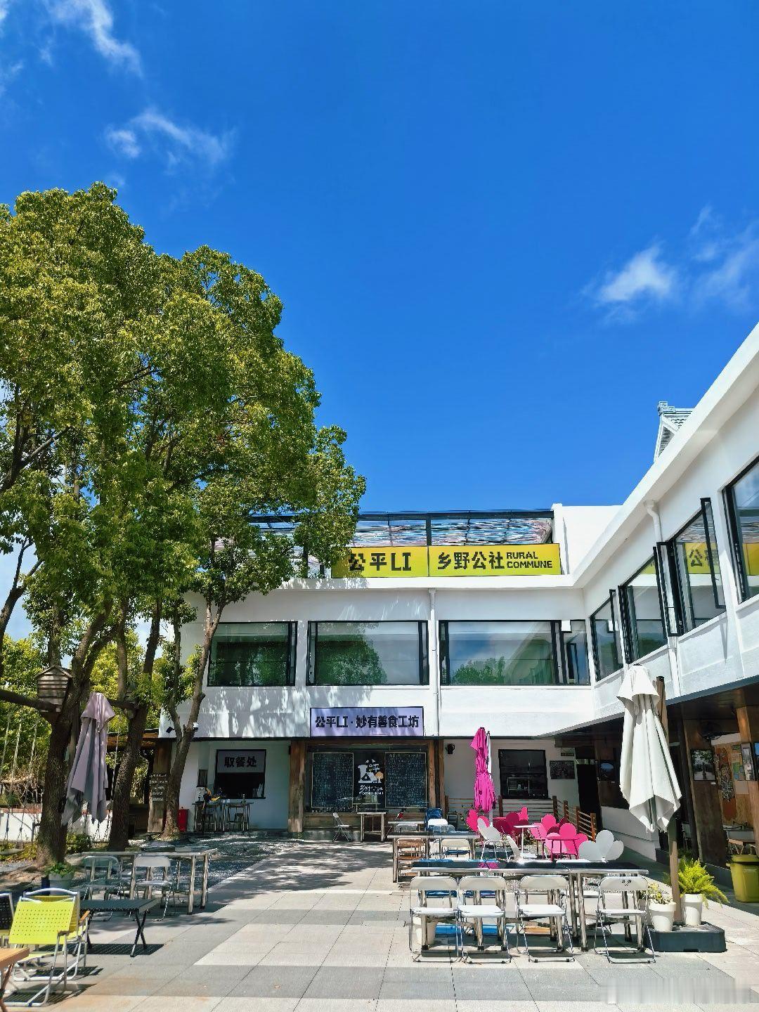 公平Li的第一个夏天，柯尔鸭鸭队伍壮大到8只，还在疯狂下蛋。各种昆虫也多起来了，