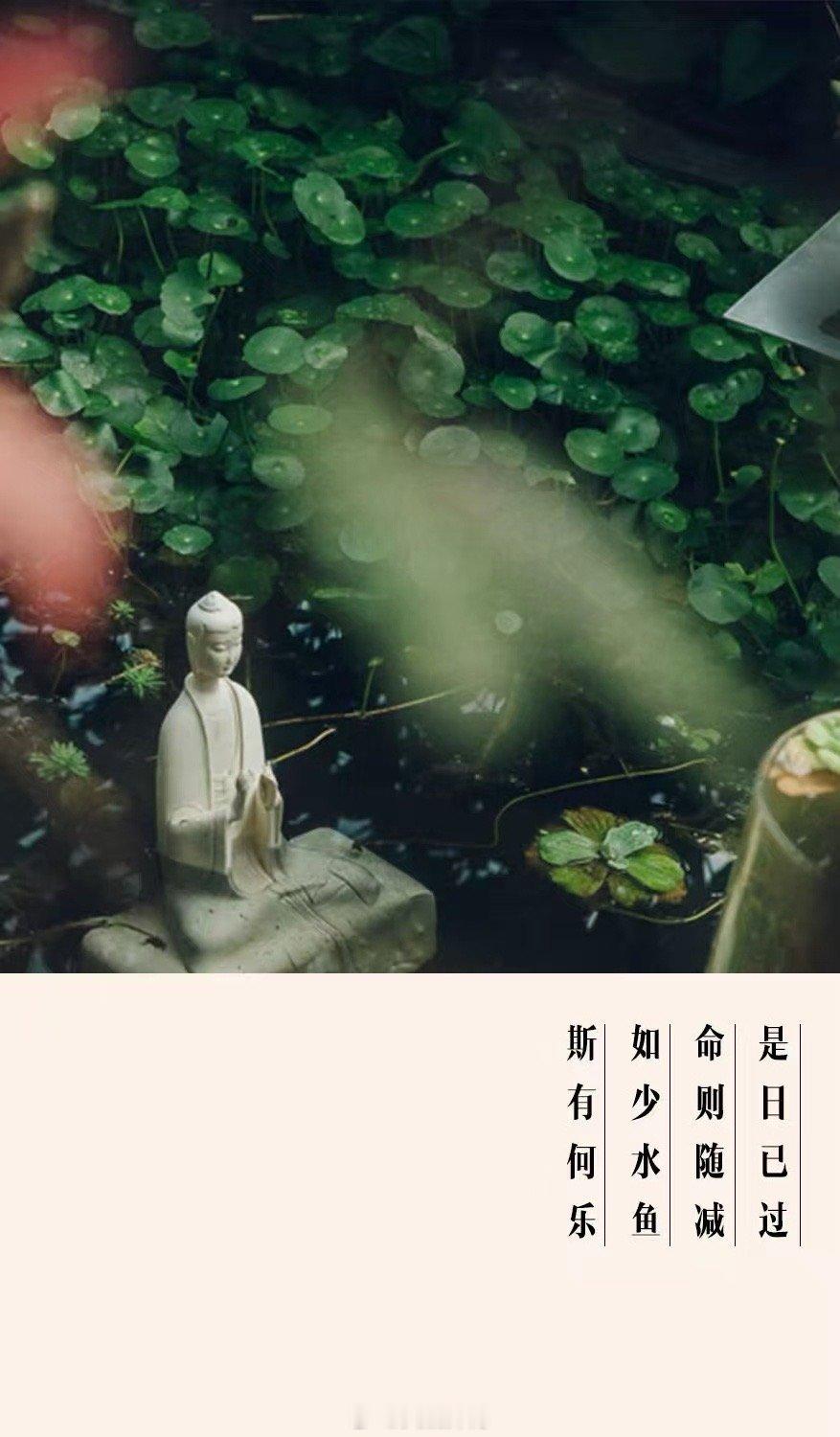 红尘婚恋闲话常有女缘主来问我，为何半生走入婚姻，却满是委屈与不甘，日子过得拧巴又