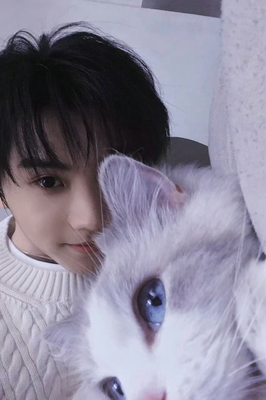 马嘉祺和小猫都要 啊啊啊这是什么好东西！马嘉祺更博～软萌小猫咪和居家治愈系老公来