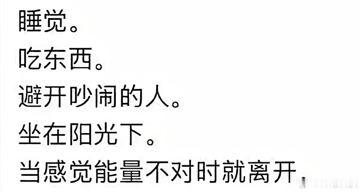 猫掌握了生活的真谛。 