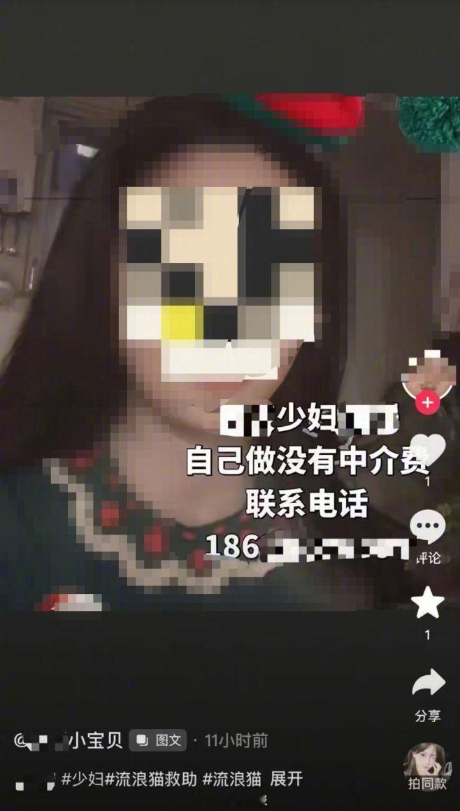 【女子回应疑举报虐猫被开盒造黄谣】动物保护志愿者“芝麻”从未想到，网上说的“开盒