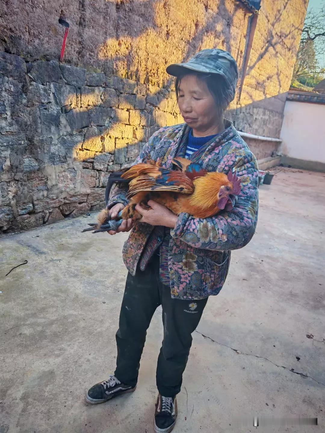 大山里的彝族，比较热情的，人也很善良的，早上去她们家，会杀给客人吃羊肉的，下午去
