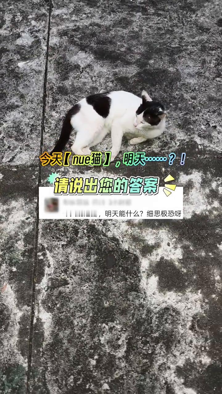 今天【nue猫】，明天···！请说出您的答案。
今天能虐猫，明天能什么？细思极恐
