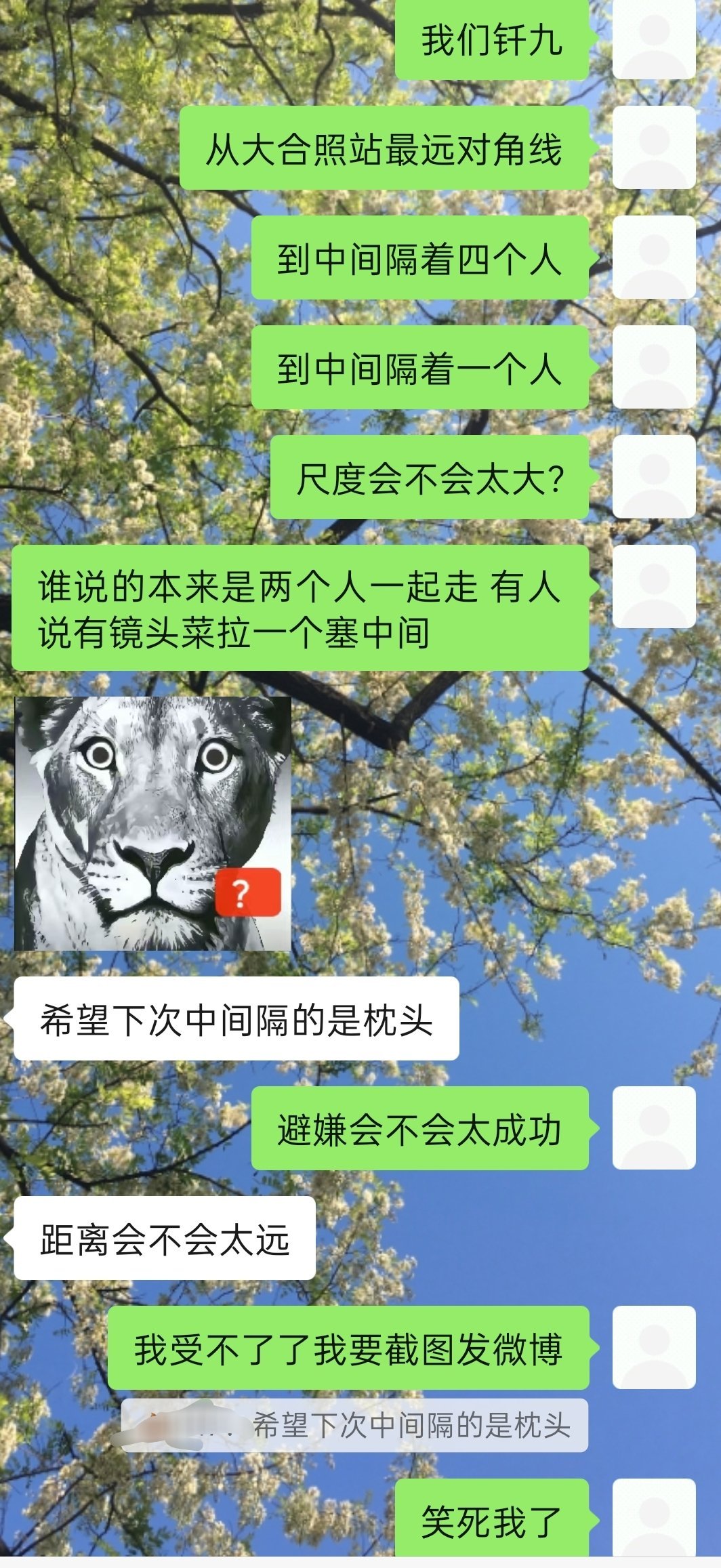 ：希望下次中间隔的是枕头 