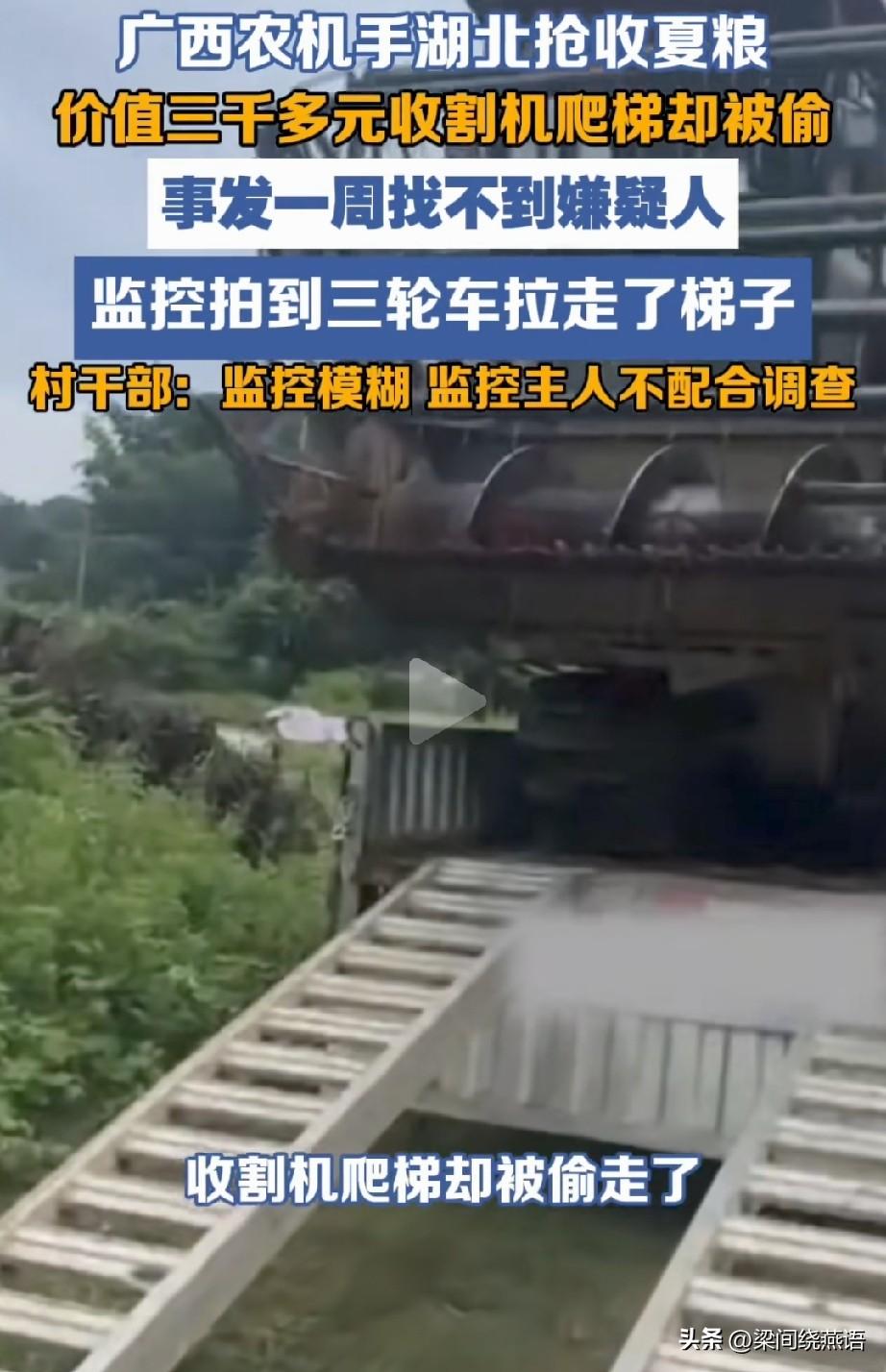 好消息：广西老表千里迢迢来天门收麦，村干部热情接待，活儿都排满了。坏消息：第二天