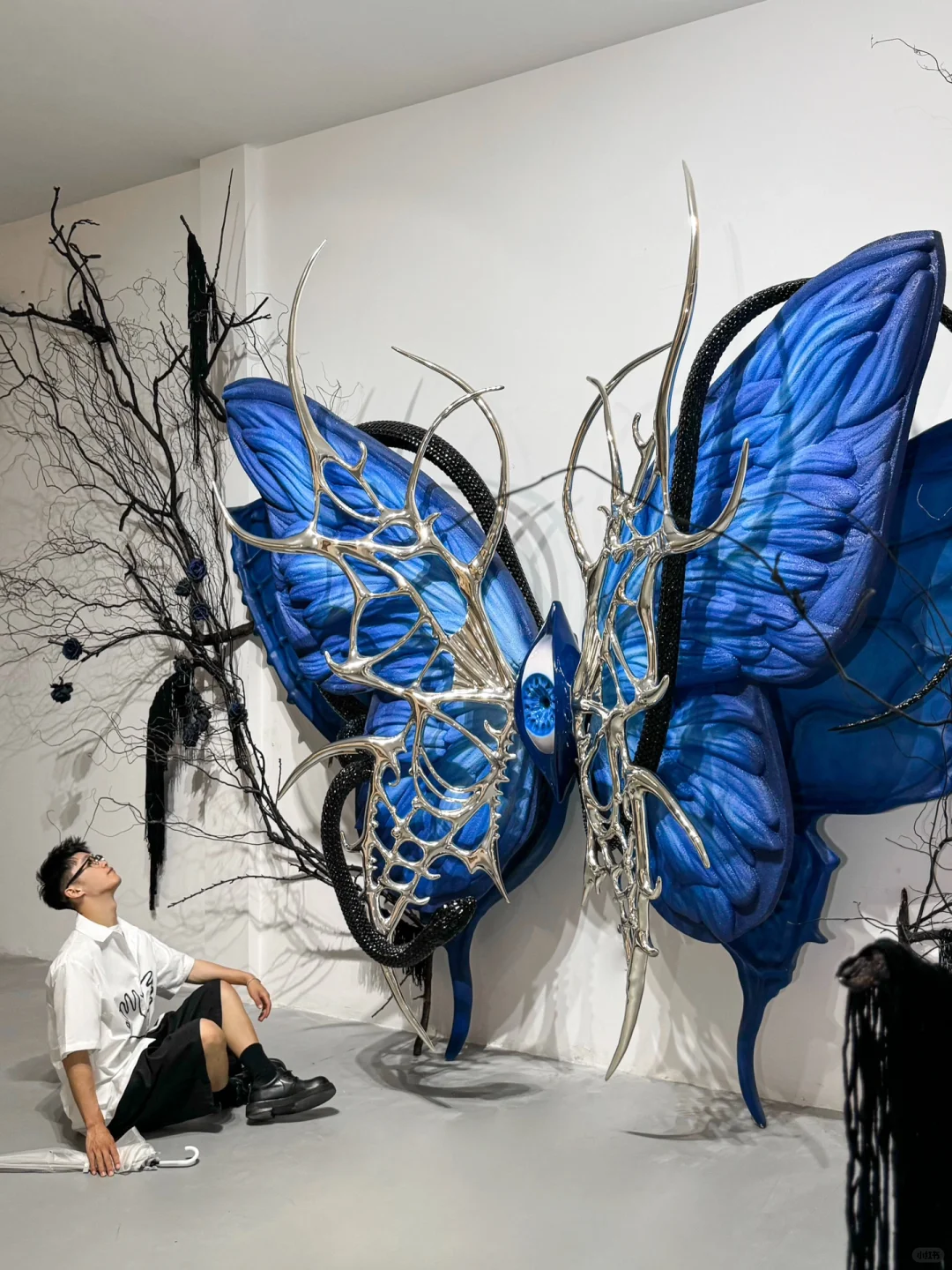 成都近期坠震撼的装置展🦋七月新展！巨出片