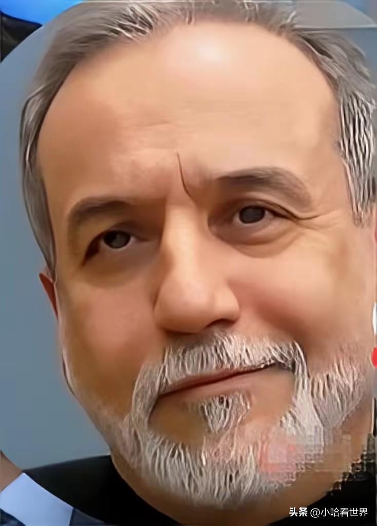 伊朗外长轻蔑一笑绝了。记者：你们就不怕美国地面进攻伊朗？伊朗外长：我们等着他们呢