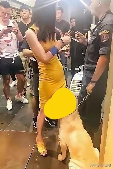 有色狼、色鬼，这就是一条色狗吧！