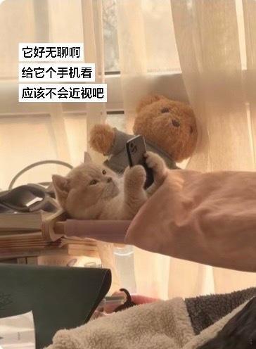 给它看手机应该不会近视吧 