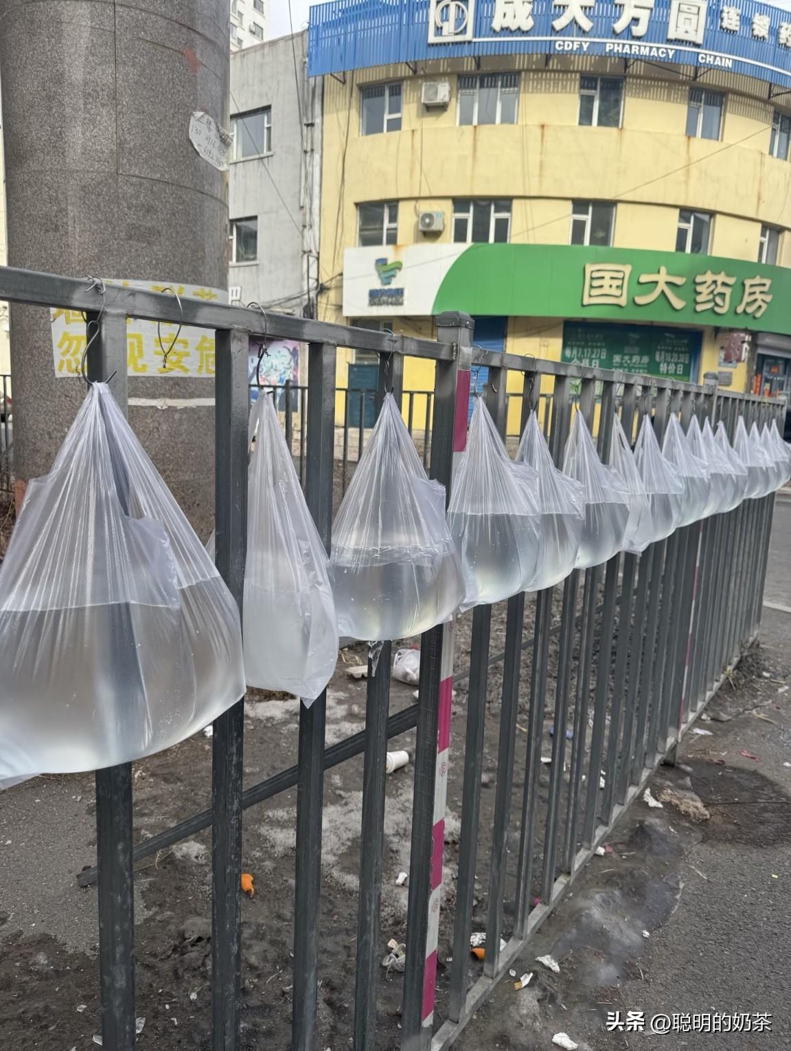 有没有东北的朋友，吉林拍到的一幕想问问为什么要冻水呢！这是在做什么？