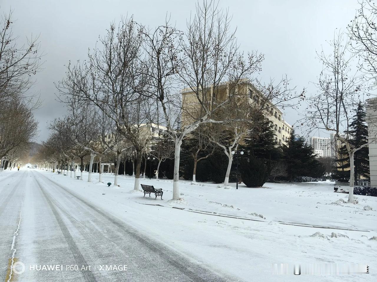 晒一下你相册里的雪景照片吧雪路漫漫