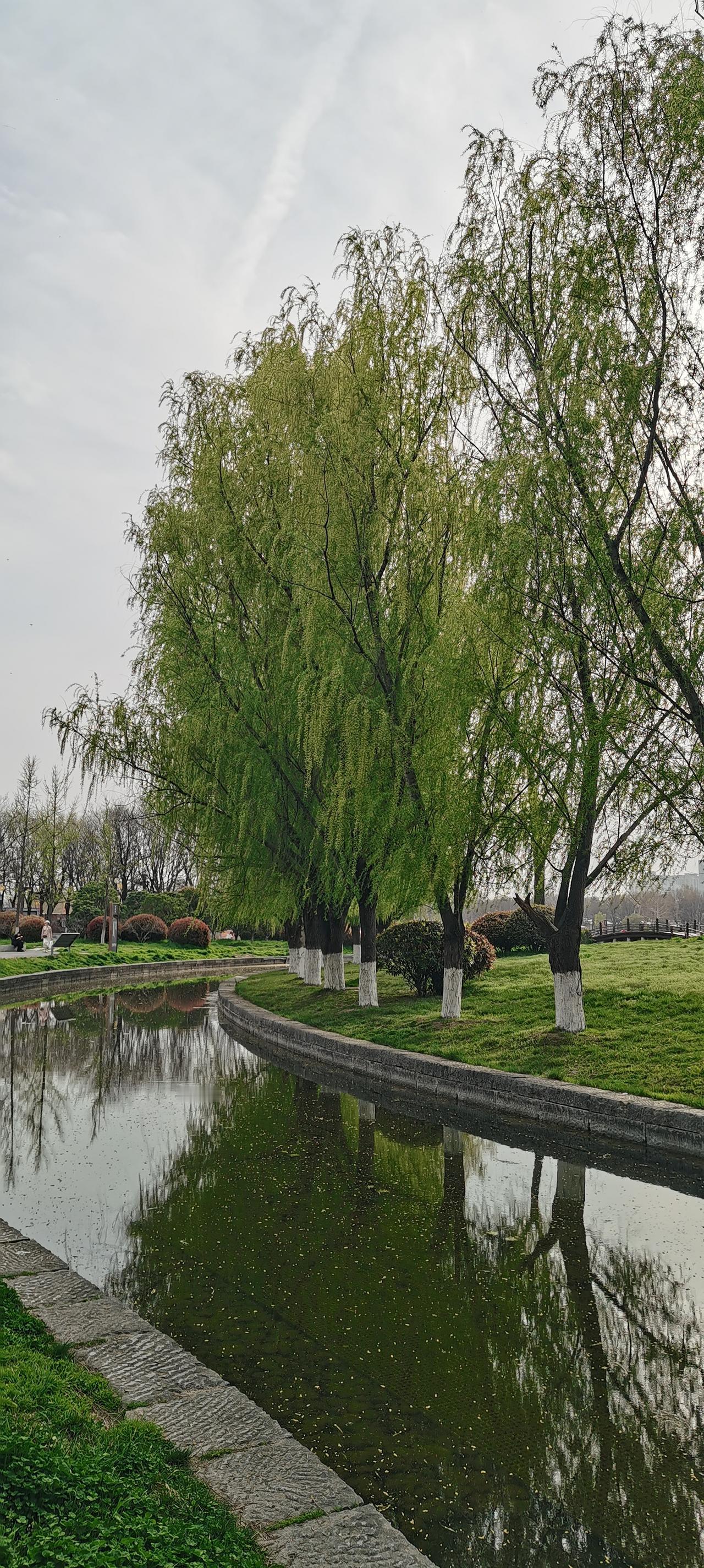 分享一张你最近拍的西安一角的照片