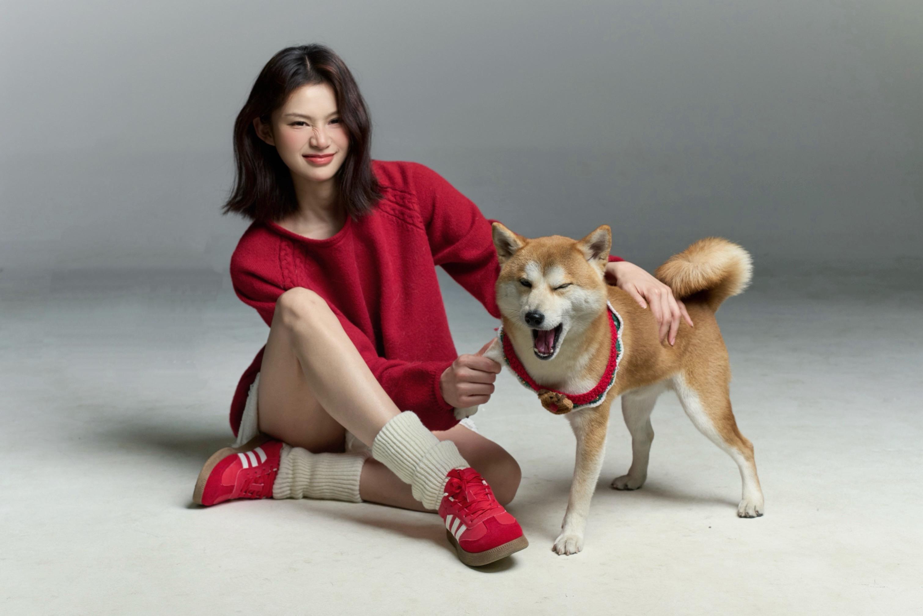 有没有小母柴要找男朋友呀