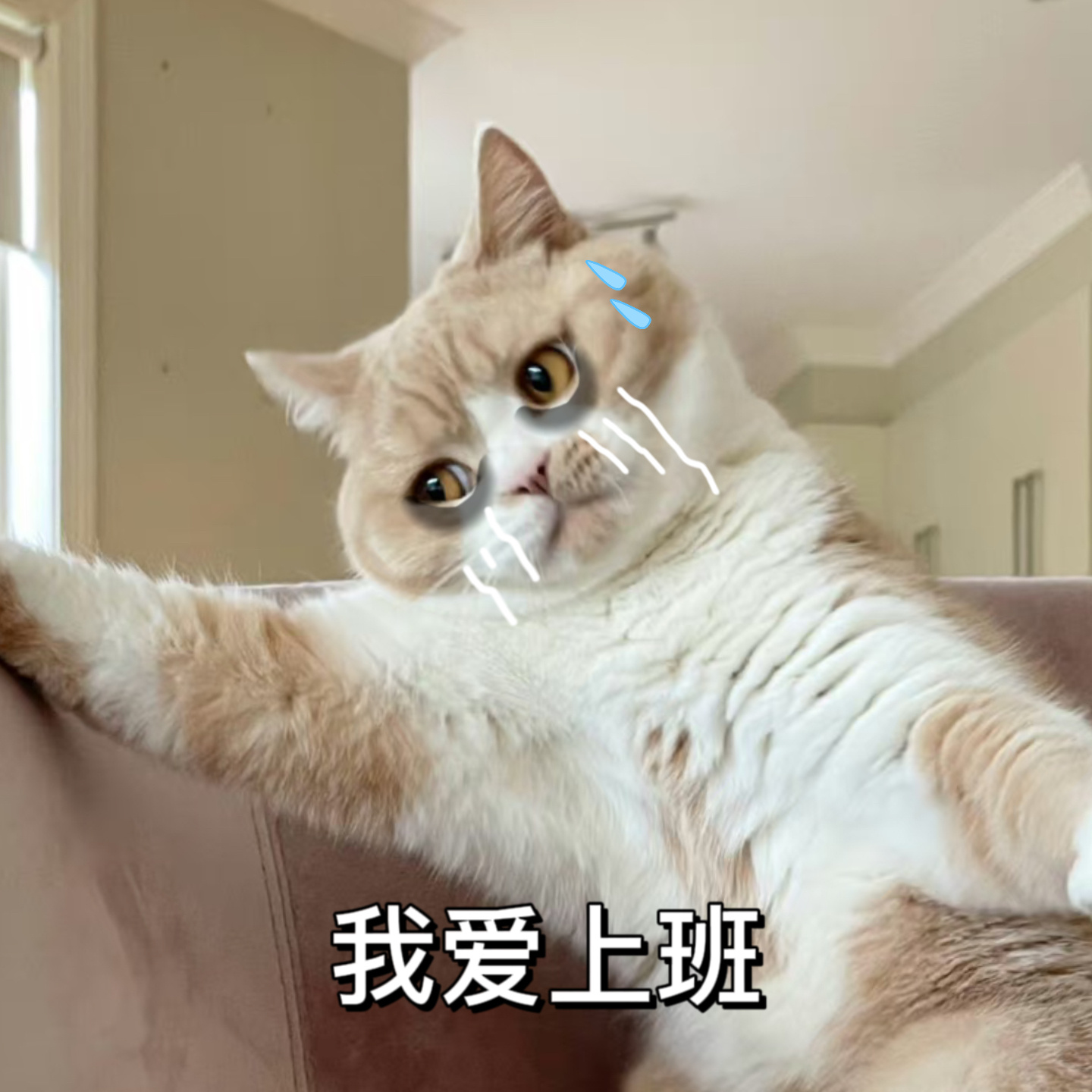 #等灯[超话]# 憔悴 ​​​