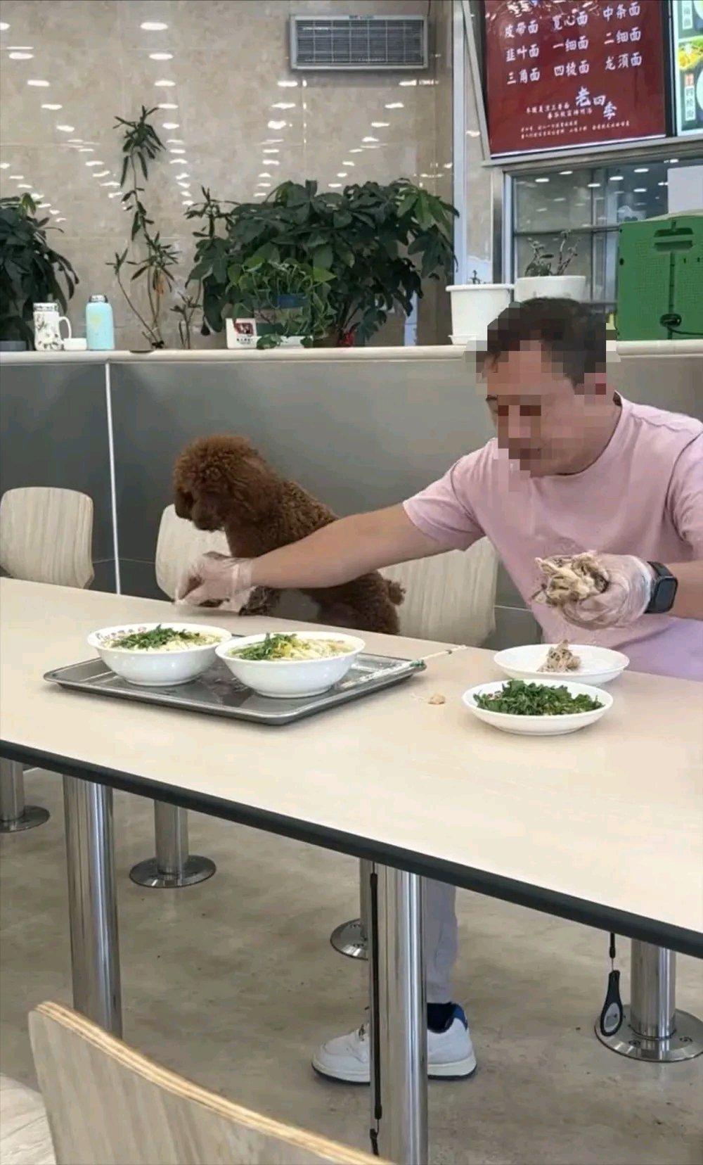 男子带宠物狗进饭店就餐，掰下食物放桌上让小狗进食；店家：查看监控狗未接触到餐具，