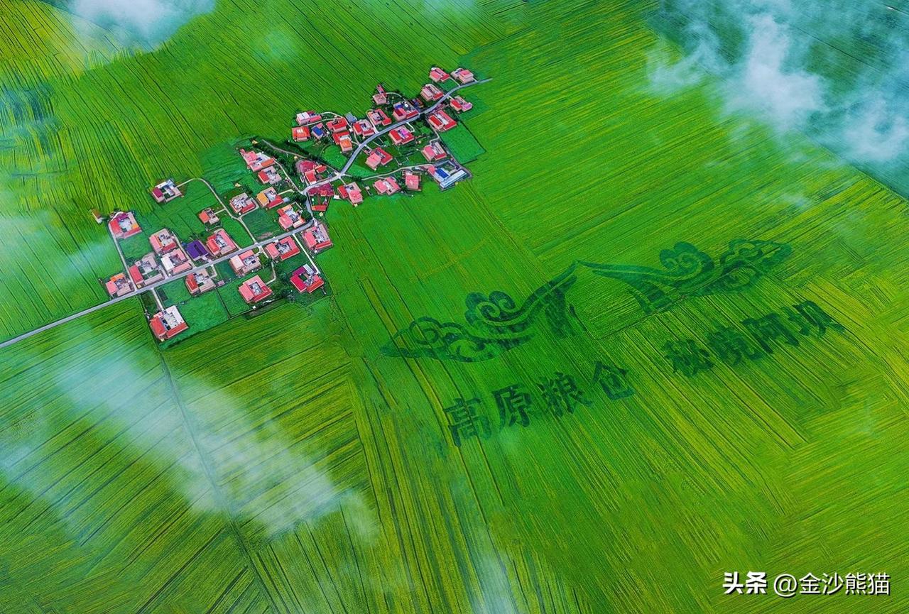 《高原粮仓，秘境阿坝》 
成都市老年人协会攝影专委会 
图文原创 温建军 
组稿