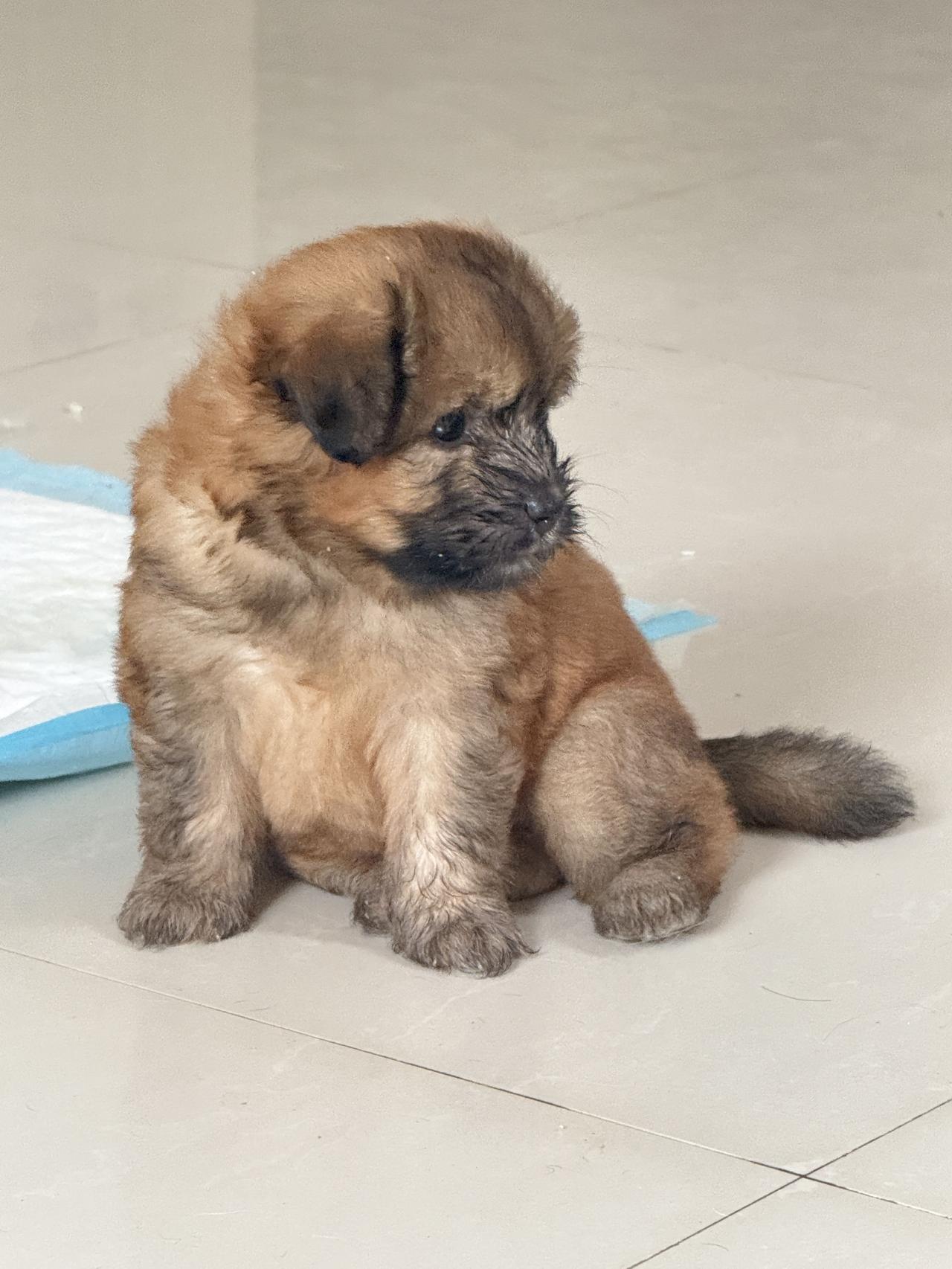 手机随手拍原创图片