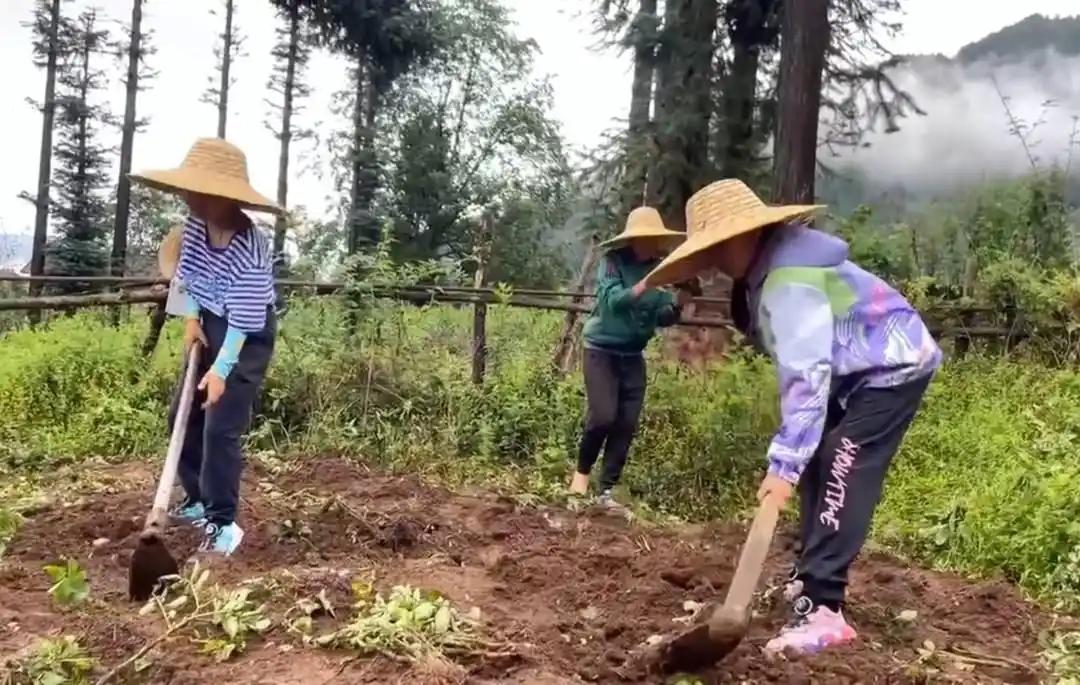 "吃苦夏令营" 又火了。花大几千，把孩子送去乡下干农活、晒太阳、喂猪，家长觉得 