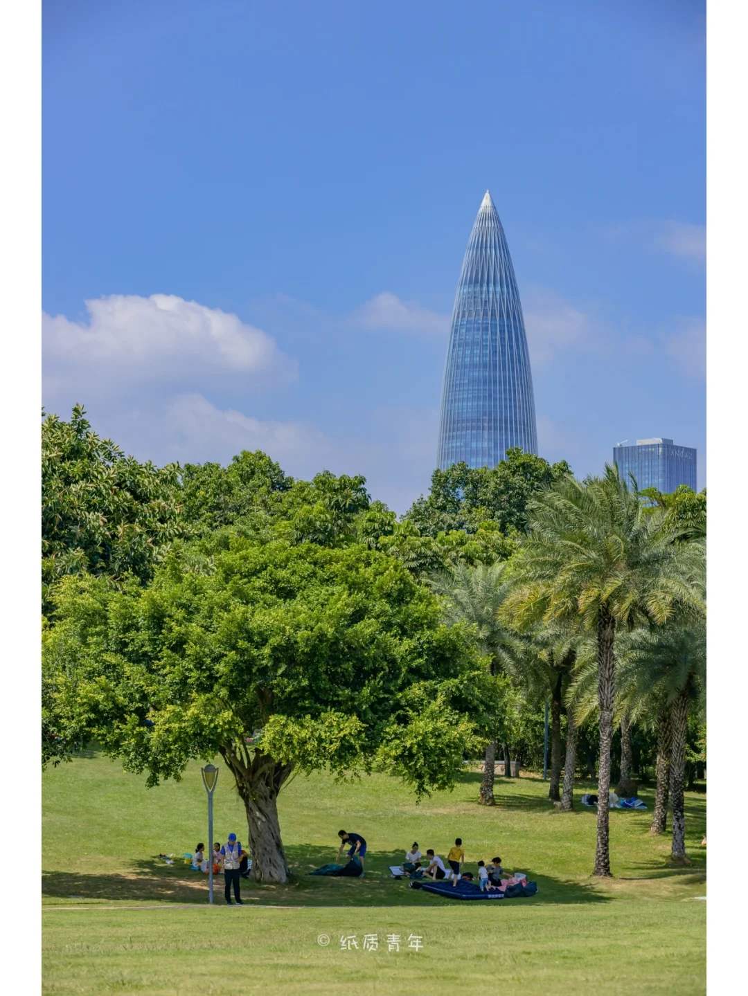 深圳湾公园日出剧场|秋日散步野餐好去处