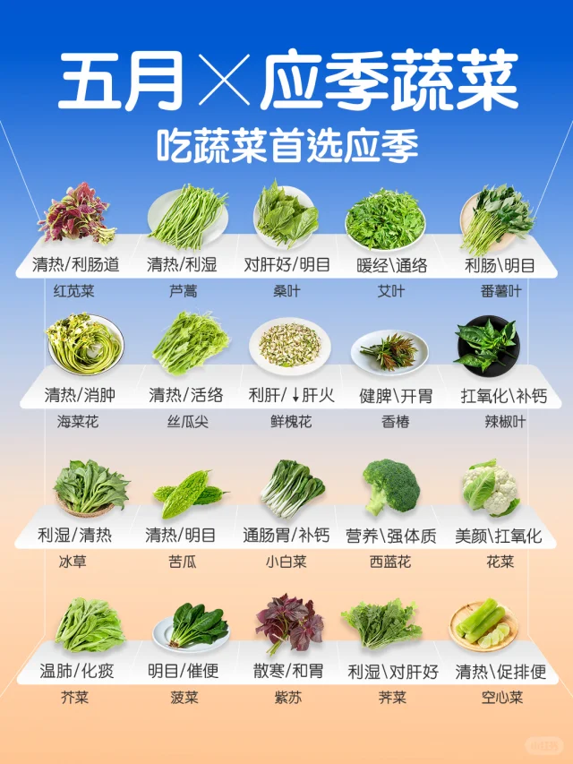 5 🈷️应季蔬菜速查👆 ｜吃蔬菜首选应季🥬