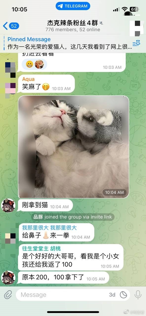 -急扩！！！🆘这只猫猫他们已经到手了！！！我们赶紧找猫猫的主人！！根据对方的这