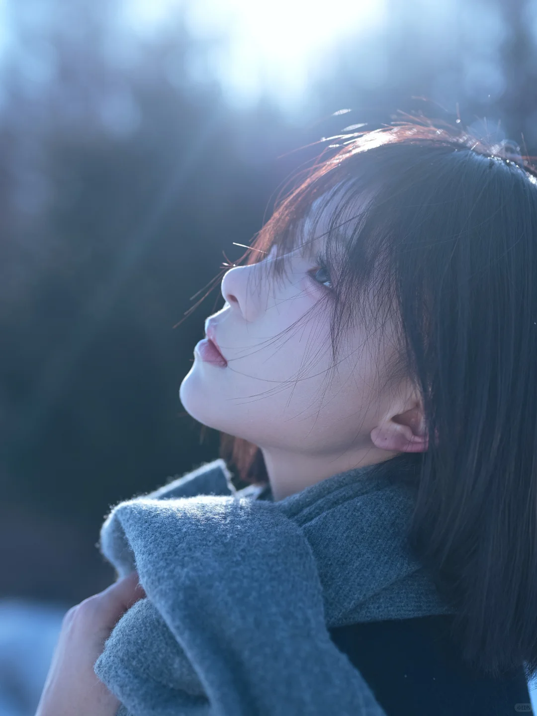 亲爱的藤井树❄️