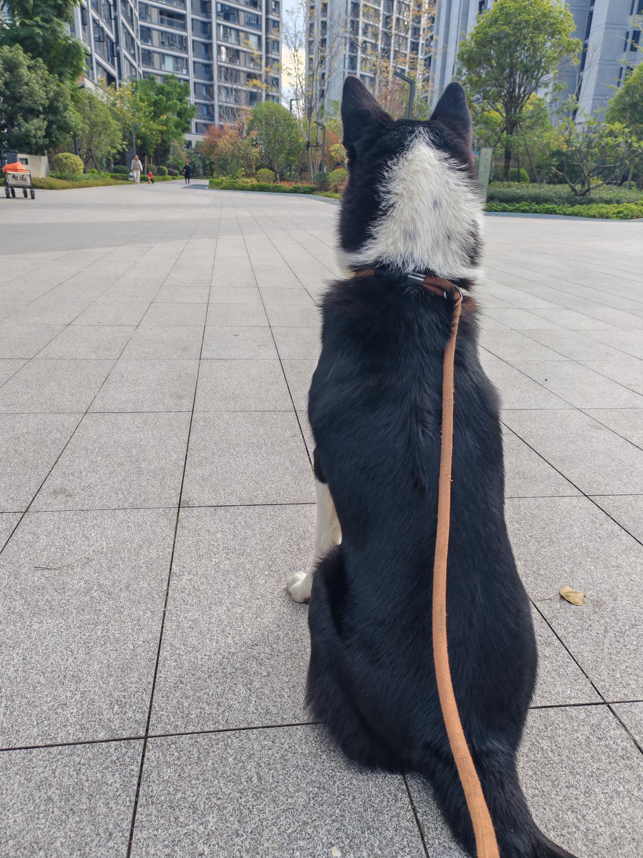 港股开门红给2026的市场打了一个样。近阶段港股由于天量IPO，持续回调，昨日恒