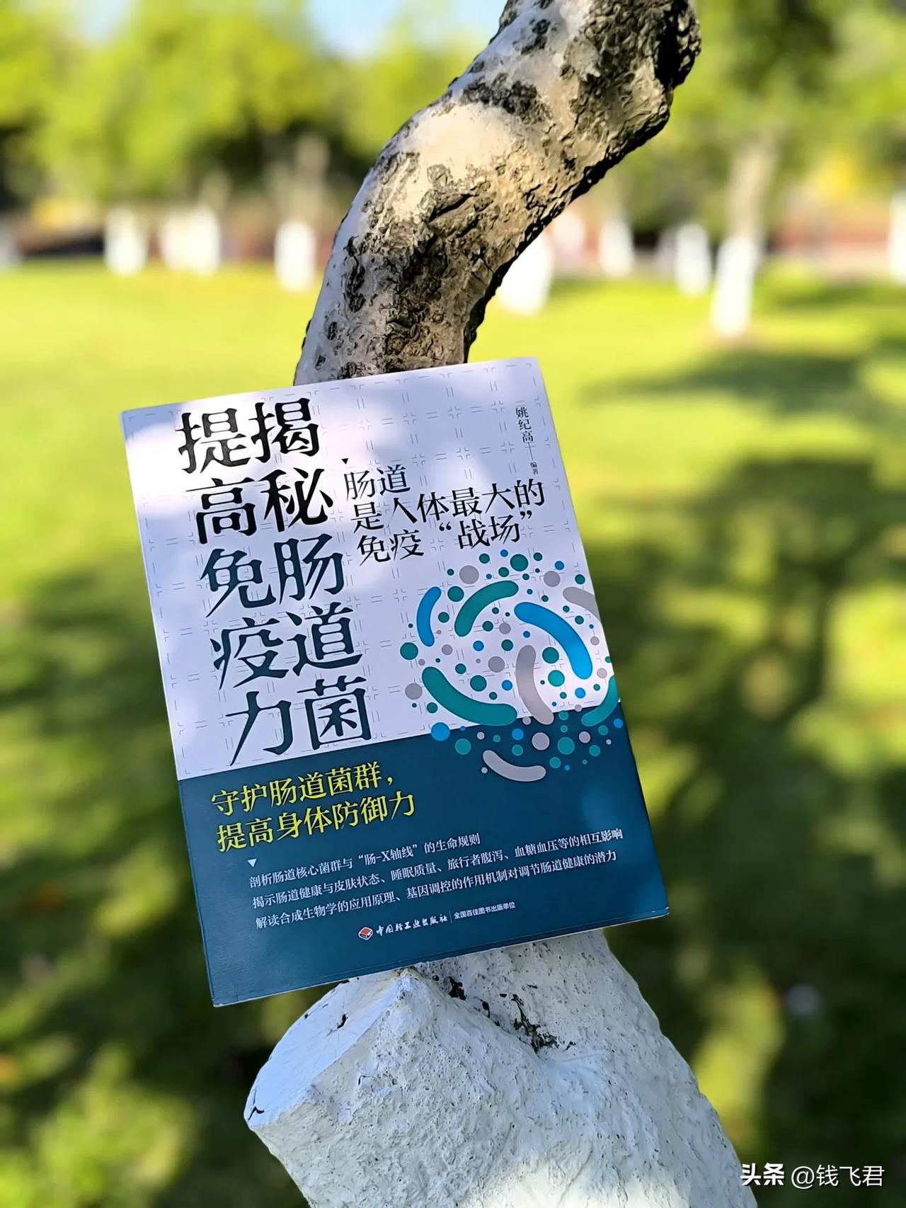 养肠等于养命？远离炎症、慢病从养肠道入手

在姚纪高编著的《揭秘肠道菌，提高免疫