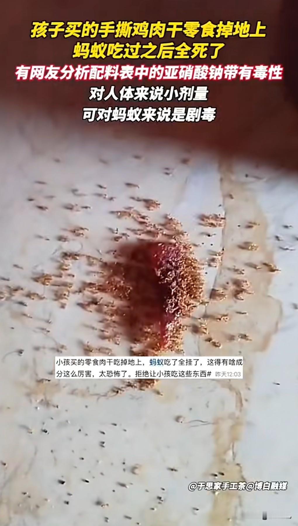 大千世界无奇不有啊，又涨知识了。

近日海南，一家长发现孩子零食肉干掉地上，蚂蚁