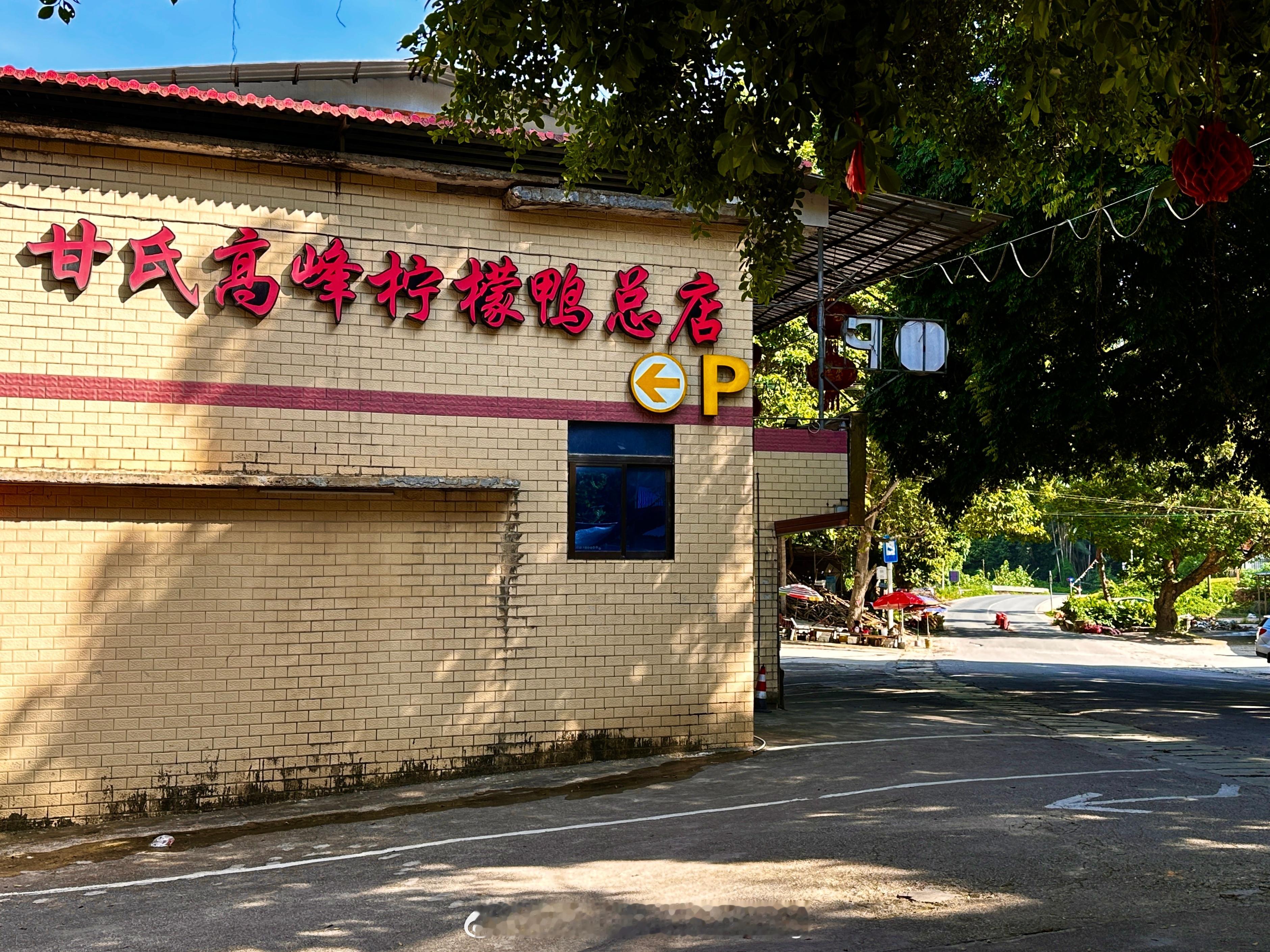 老南宁照片张科老南宁柠檬鸭鲶鱼老南宁的味道无法忘怀的老南宁味道 🐟豆腐鲶鱼+酸