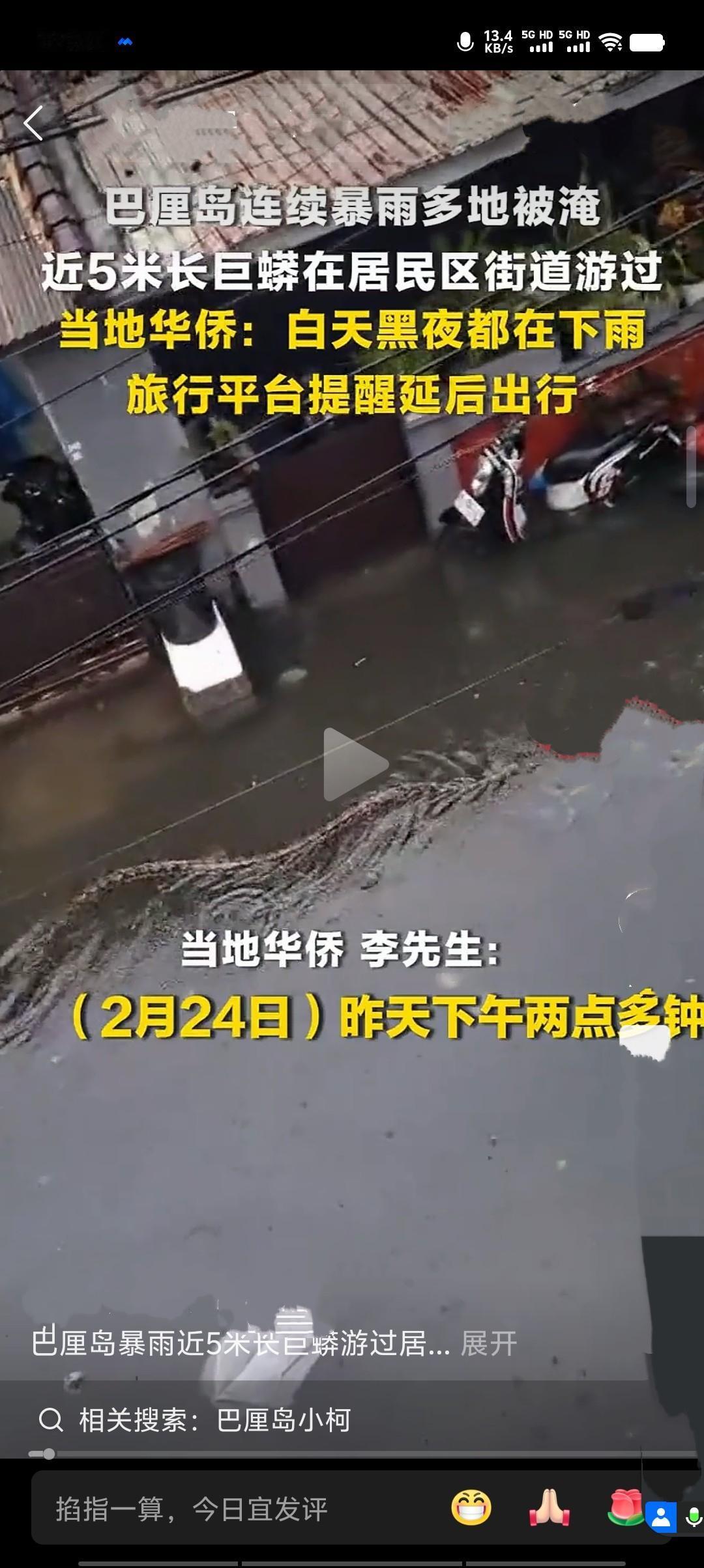 近日巴厘岛遭遇持续暴雨，昼夜不停的降雨致多地严重积水。一条近5米长的网纹蟒现身登