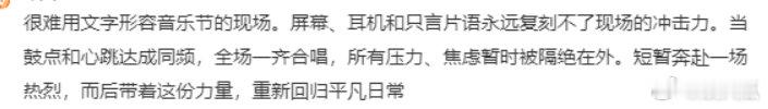 很难用文字形容音乐节的现场。屏幕、耳机和只言片语永远复刻不了现场的冲击力。当鼓点