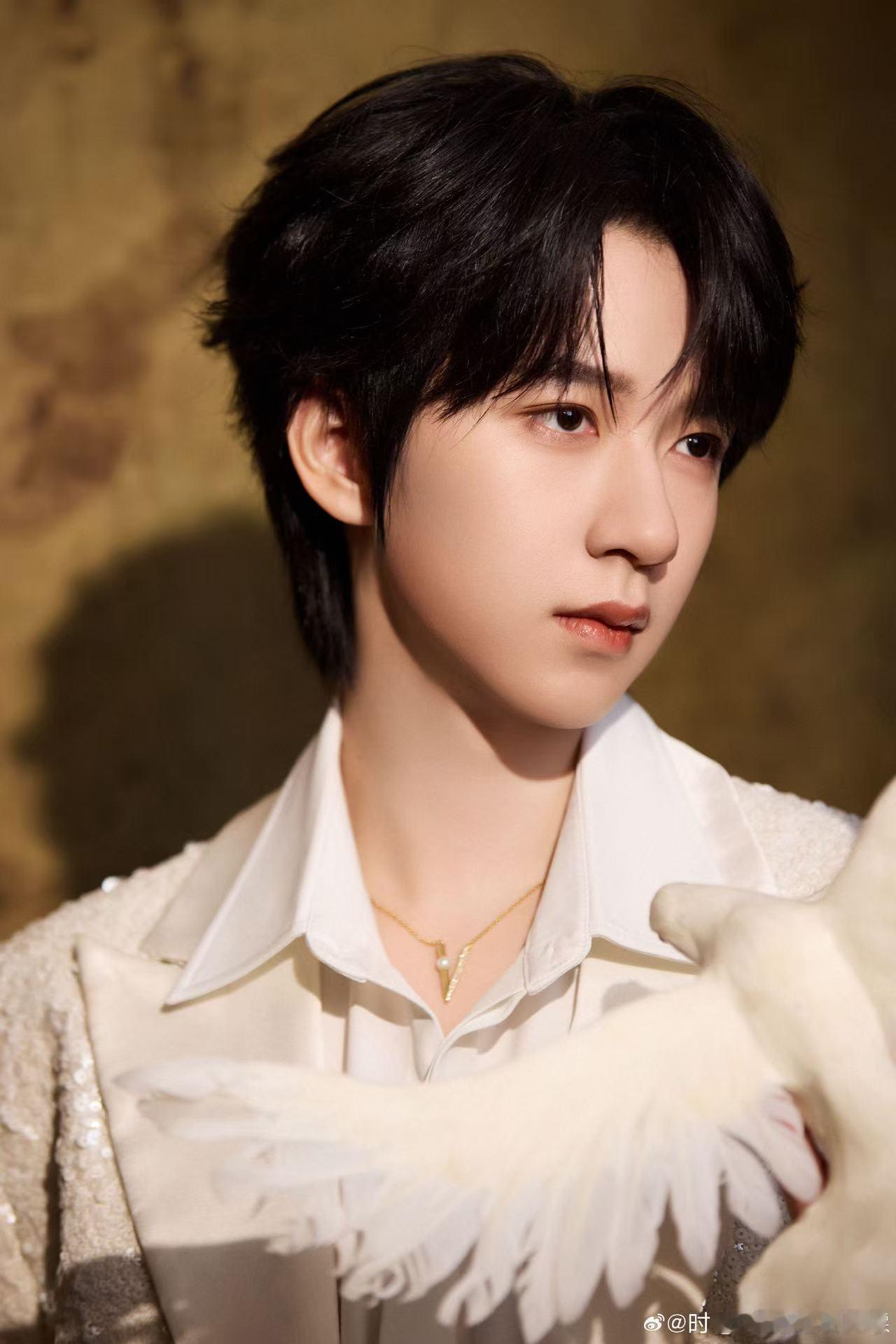 北影节开幕式红毯阵容贺峻霖连续三年参加北影节 真的很稳，贺峻霖连续三年登上北影节