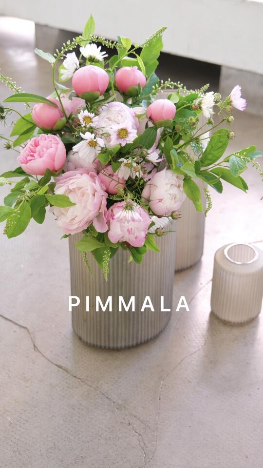 PIMMALA｜芍药很美 时间很快